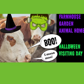 Halloween at the Farm Uxbridge 2025