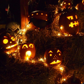 Cannington Haunted Attraction