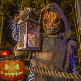 Fear Forest Oshawa